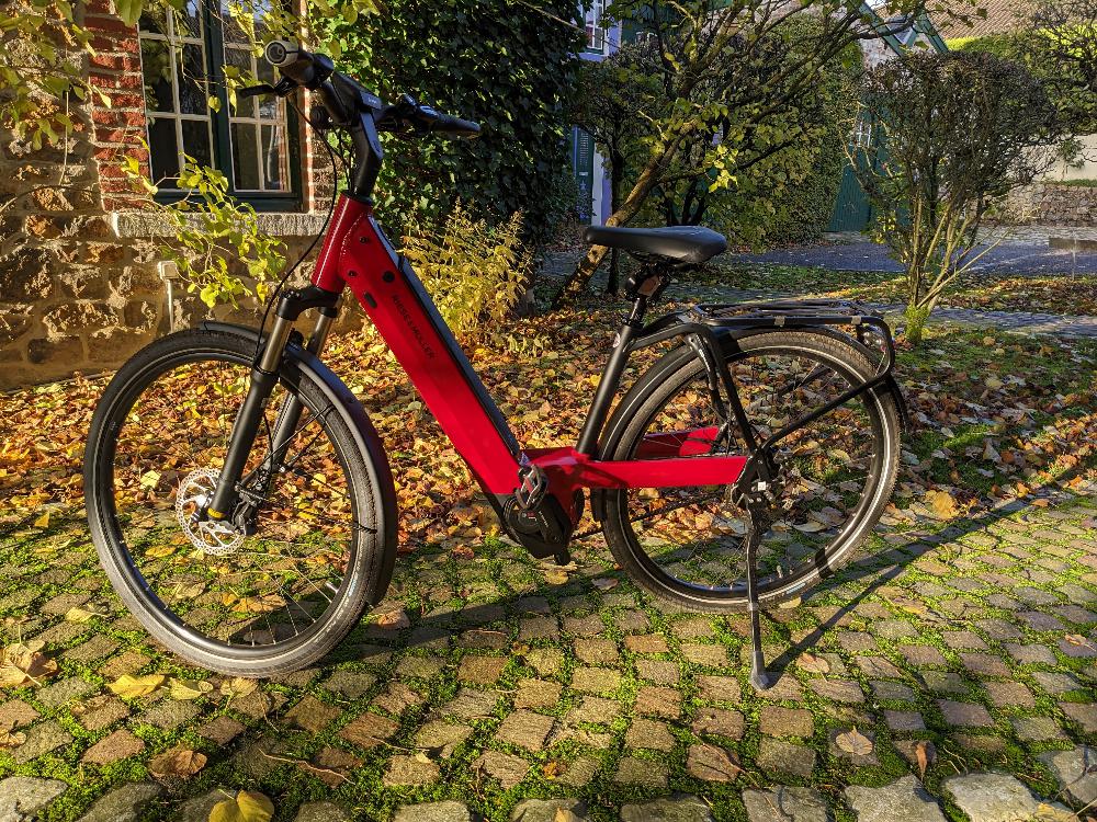 Fahrrad verkaufen RIESE & MÜLLER Nevo vario 47 rot 625 Ankauf